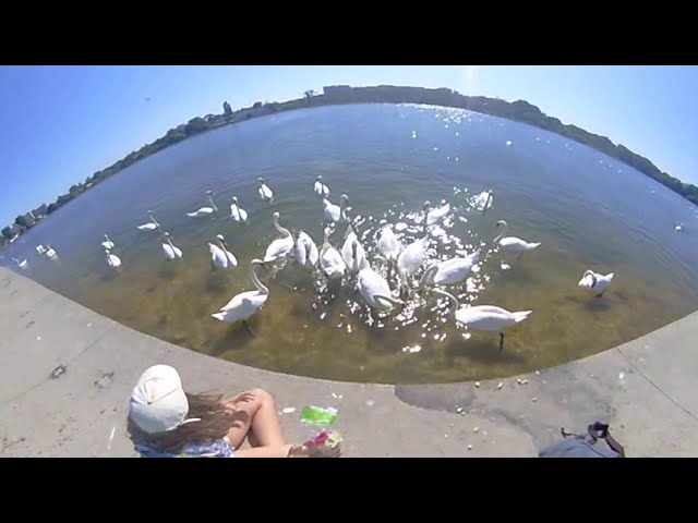 MADV Mini Panoramic Camera for Android Video Sample @ Lacul Lebedelor - Neptun & Jupiter Black Sea