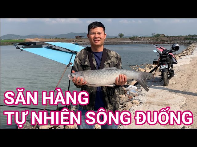 HÀNH TRÌNH SĂN HÀNG TỰ NHIÊN SÔNG ĐUÓNG TRƯỚC KHÔNG KHÍ LẠNH VỀ#caucatunhien#fishing