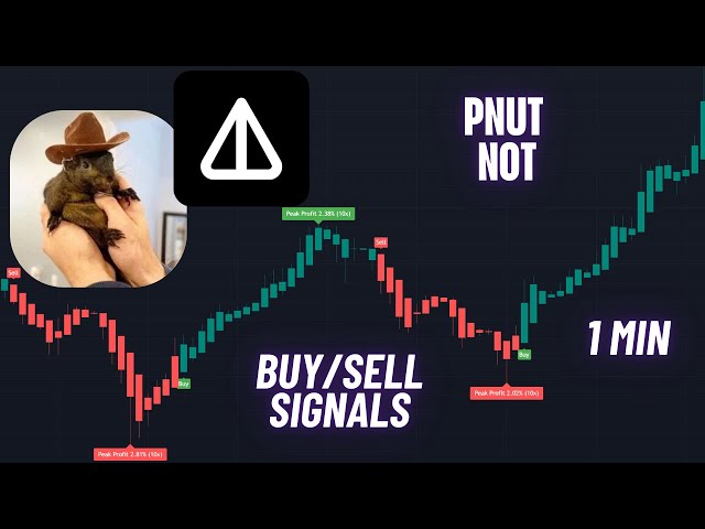 Pnut & NOT Coin | Trading signals 1 min | Crypto Trading Indicator #pnut #not