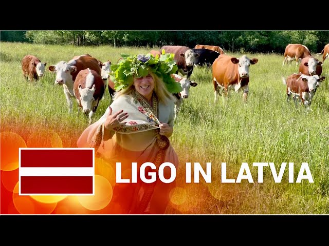 🔥 (1) How are cows related to the LIGO holiday in Latvia?