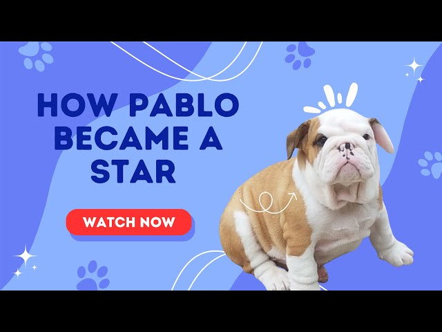 The Untold Story of Pablo – How It All Started!