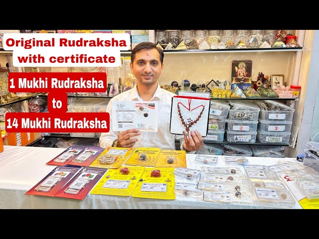 100% Original Rudraksha: Unlimited Varieties & Certified Authenticity at Mahalaxmi Enterprise