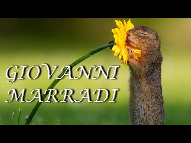 ♫ Giovanni Marradi -  Collection ♫ (Beautiful flowers)