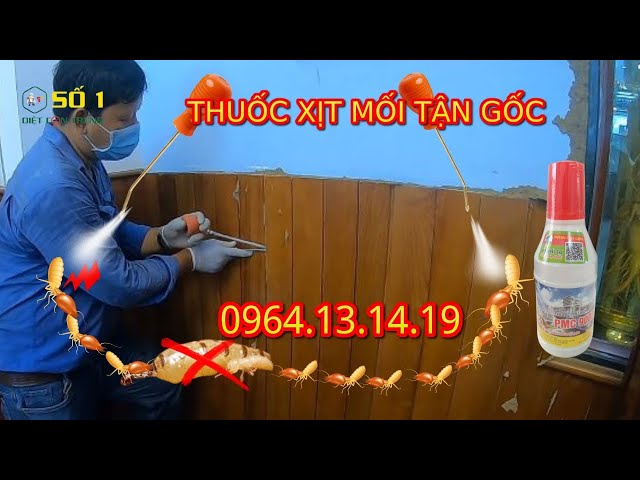 THUỐC XỊT MỐI TẬN GỐC | THUỐC DIỆT MỐI PMC 90 LANG TRUYỀN TẬN GỐC | DIỆT MỐI TẠI NHÀ