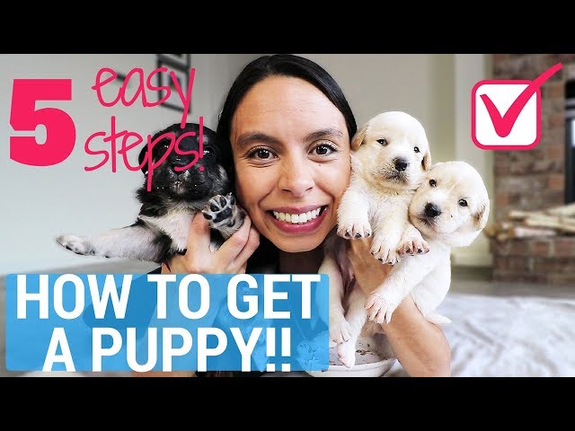 Get Your Parents to Say YES to a PUPPY, Guaranteed!! 5 Easy Steps