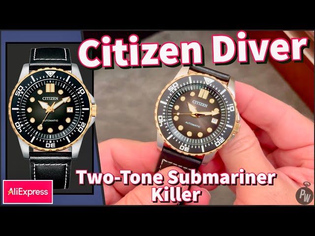 Citizen Two Tone Dive Watch — Rolex Submariner at 50x Savings — My AliExpress Shopping Experience