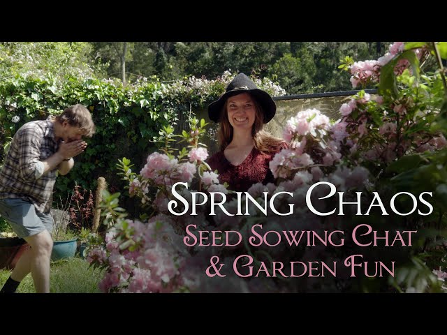 Springtime Chaos: Seed Sowing Chat & Garden Fun