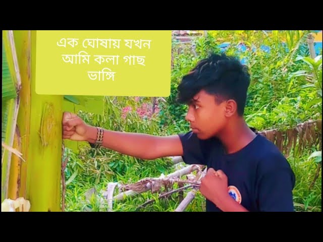 #দেখুন #কলাগাছ #অবশেষে #ভাঙলাম #shorts #instagram #weeb