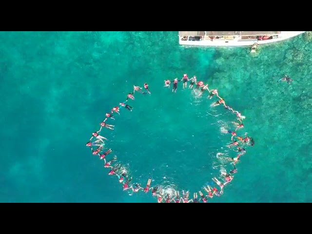 Amazing Snorkeling Di Karimunjawa Rame-Rame