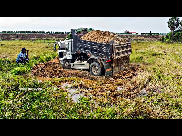 Wonderful New Project!! Land Filling on Field by Bulldozer KOMAT'SU D20P Push soil with 5ton Trucks