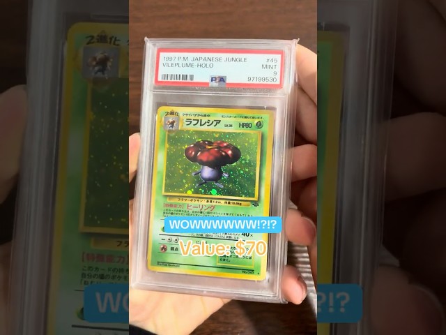 I Bought a Pokémon MYSTERY SLAB Pack!