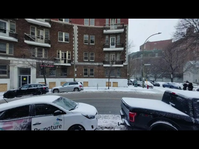 Montreal Snow VR