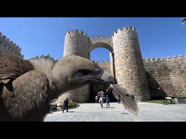 Vanlife in spectacular Spain