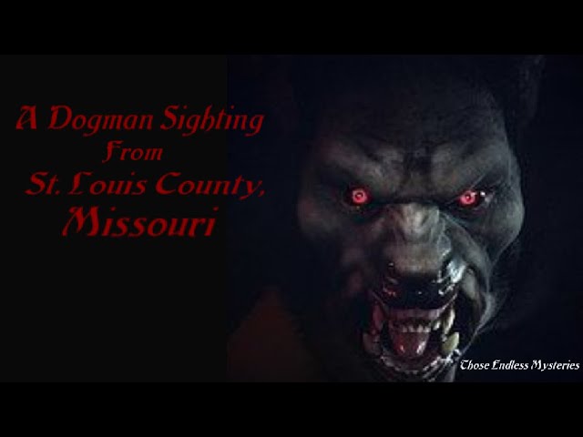 A Dogman Sighting From St  Louis County, Missouri