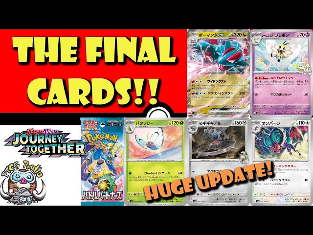 BIG Battle Partners Update! Final Trainer's Pokémon! Salamence ex! (Pokémon TCG News)