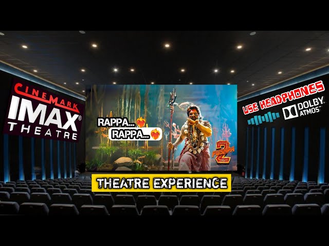 RAPPA...RAPPA...❤️‍🔥 CLIMAX FIGHT || PUSHPA 2 || THEATRE EXPERIENCE || DOLBY ATMOS ||