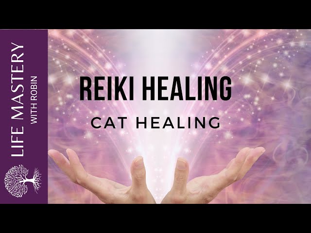 Reiki Healing | Healing Cats with Sound Music