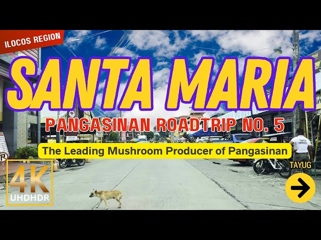 SANTA MARIA Pangasinan Road Trip No. 5 | Ilocos Region, Philippines | Driving Tour | 4K