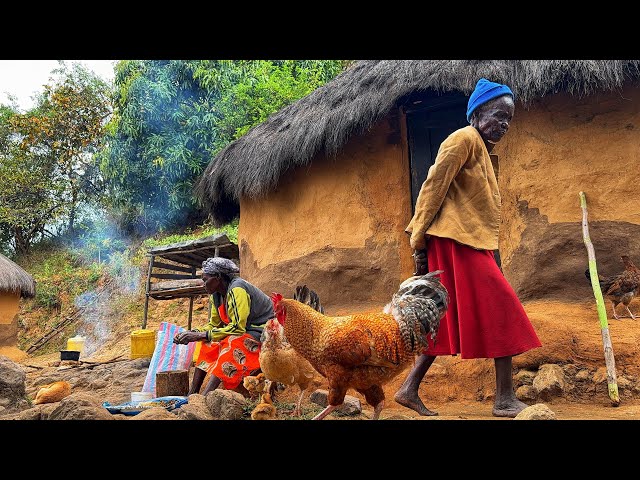 African Village life/Cooking Village food Fresh Vegetables from the Garden with White Rice