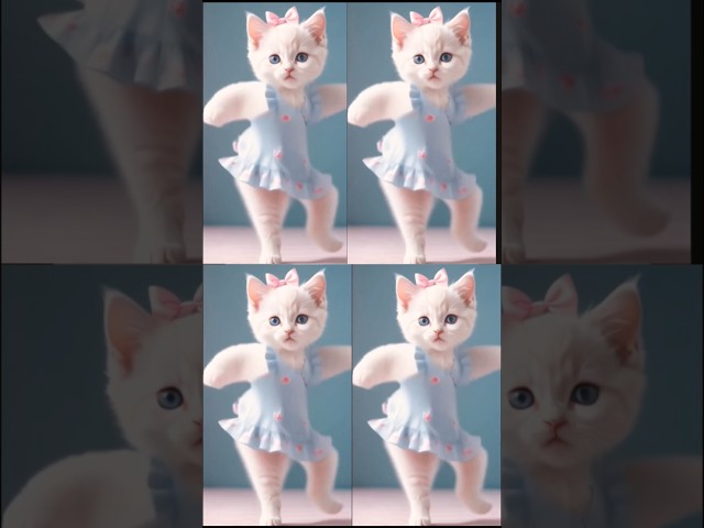 Cat videos dancing to cute cartoon cat's 💃💃#shorts #short#trending  #cat #cute #funny 😺😺