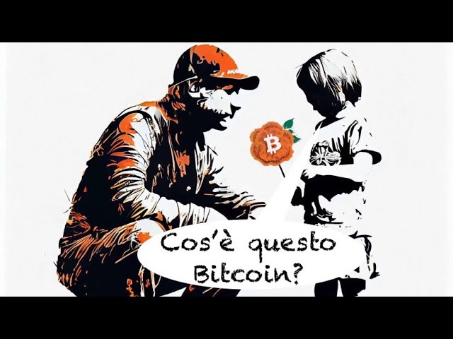 Ma in quanti davvero hanno coscienza di cosa sia Bitcoin?