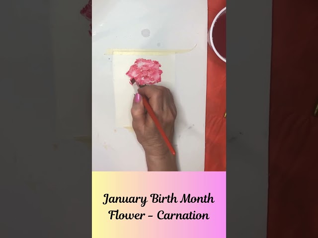 Easy to Paint Carnation January's Birth Month Flower #shorts  #watercolorpainting #loosewatercolor