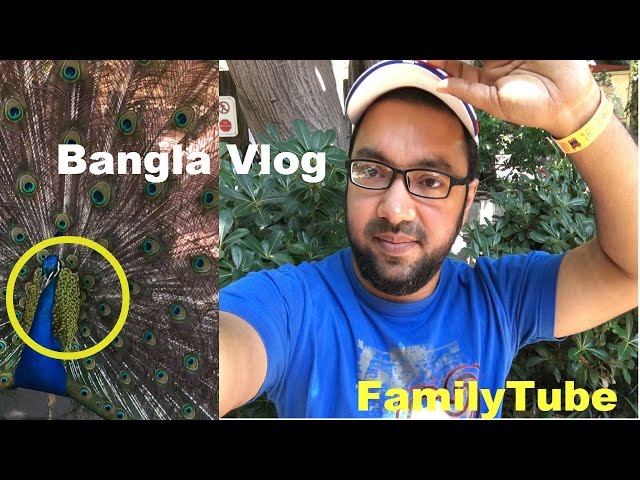 অপুর্ব দৃশ্য - মিস করবেন না -  Bangladeshi YouTuber's Vlog