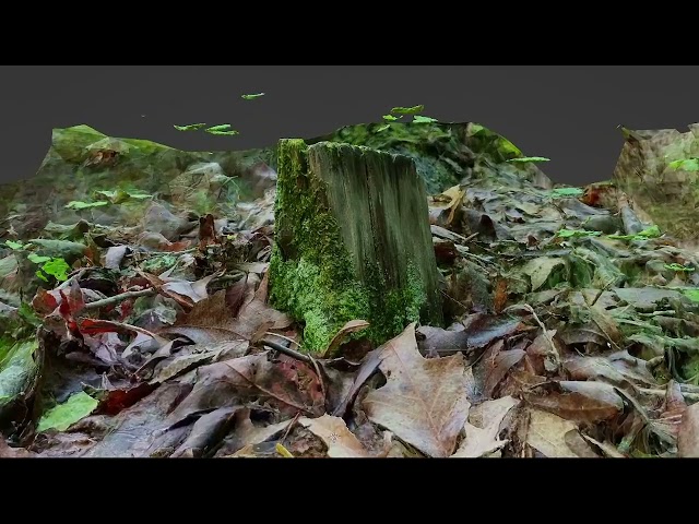 Meshroom Blender Demo 4