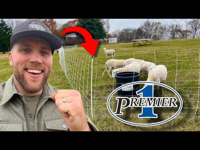 All You Need to Know to Set Up Premier 1 Electric Netting