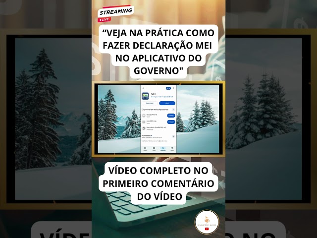 DECLARAÇÃO IMPOSTO DE RENDA MEI NO APLICATIVO DO GOVERNO #shorts