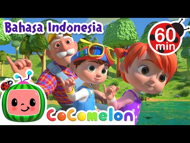 Pergi Memancing Bersama Kakek🎣 | CoComelon Bahasa Indonesia - Lagu Anak Anak | Nursery Rhymes