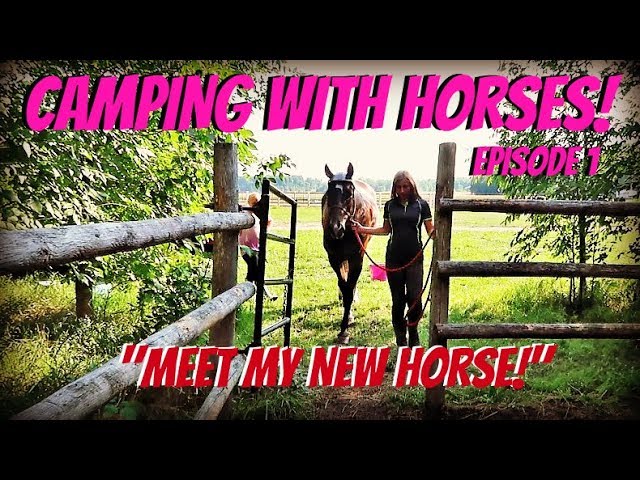 CAMPING WITH OUR HORSES, EPISODE 1  "MEET MY NEW HORSE!"