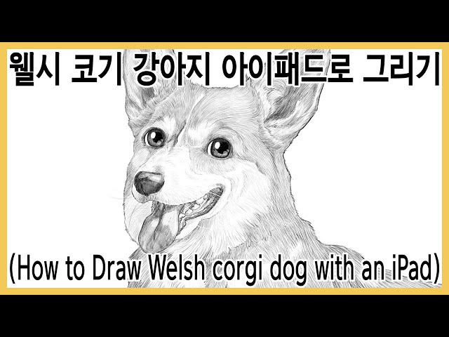 웰시 코기 강아지 그리기(How to Draw Welsh corgi dog)