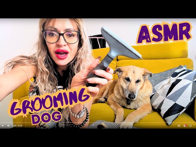 How to grooming a German Shepherd at home | Antistress ASMR for making you chill and relaxing #dog