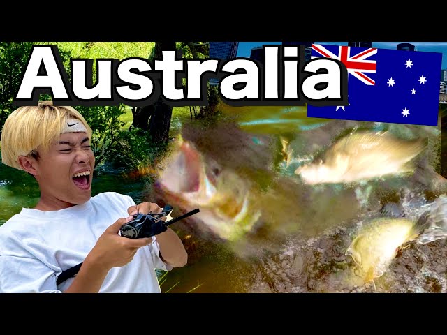 What Can We Catch in Freshwater??Japanese Angler in Australia