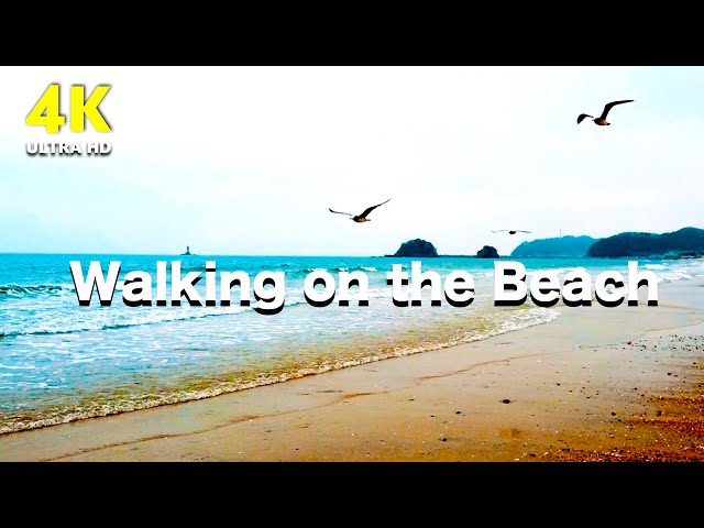 4K Nature Video | Walking on the beach (with Relaxing music & Ocean wave sound)