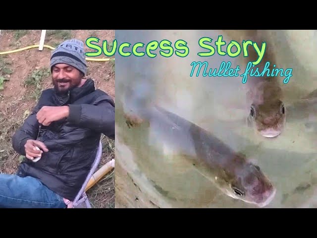 Mullet Fishing: The Ultimate Success Story