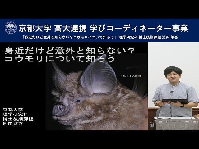 京都大学 高大連携 学びコーディネーター事業 「身近だけど意外と知らない？コウモリについて知ろう」