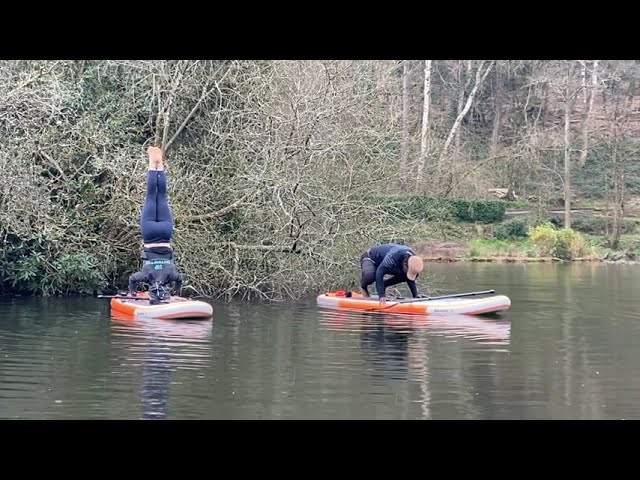 SHARK SUP YOGA HEADSTAND