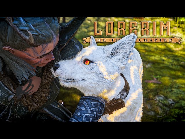 LORERIM 3.0 Has the BEST Modded Companions │ Skyrim 4000+ Mods