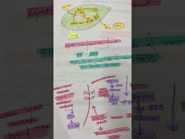 Photosynthesis #ncert #biology #ncertaudiobook #audiobook #neet