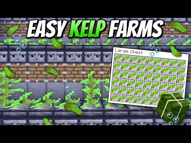 Automatic Dried Kelp Farms - Minecraft 1.21+ Tutorial