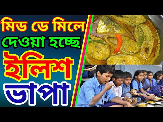 মিড ডে মিলে এবার ইলিশ ভাপা , ফ্রাইড রাইস , চিকেন কষা ।। Mid day meal scheme ।। Khabor Plus