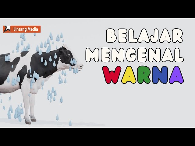 Belajar Warna dan Mengenal Suara Hewan - Sapi Colorful