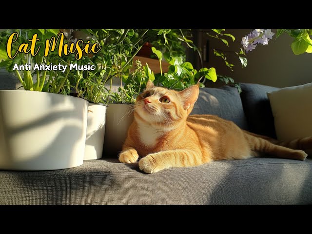 3 HOURS Relaxing Piano Music for Cats 🎄 Soothing Music to Cat Sleep Better and Reduce Stress 🎶