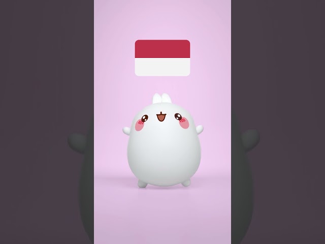 Learn all about Indonesia! 🌍 #molang #geography #kidslearning