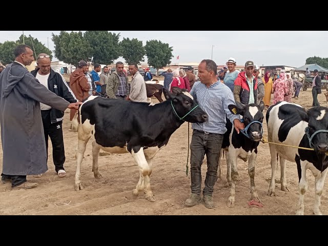 حميد طيكطوك اليوم في سوق الاربعاء سيدي سليمان همزة كينا في دروبا