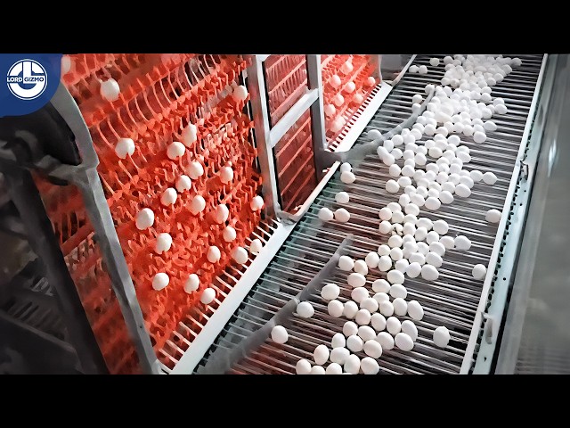 Mind-Blowing Satisfying Factory Machines & Ingenious Tools You Need to See!