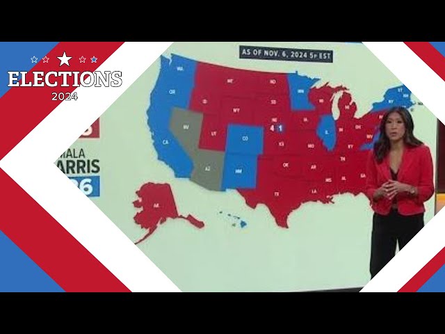 Elections 2024: A closer look at voter turnout in the 2024 election