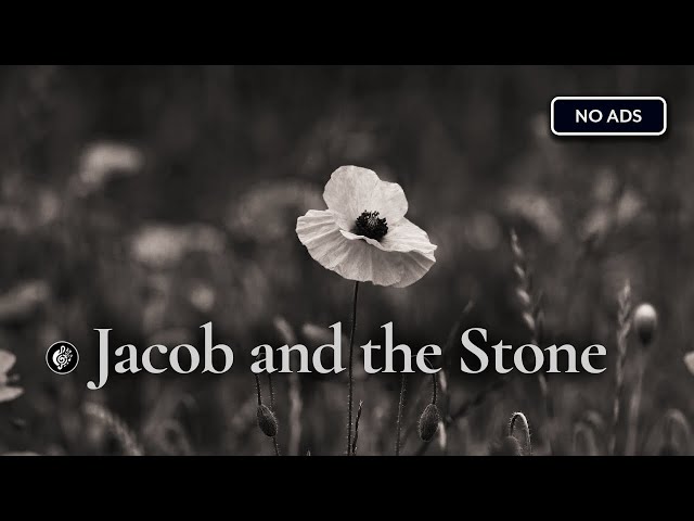 Jacob and the Stone | slowed | Emile Mosseri - 2-hour Version with Rain ❤️